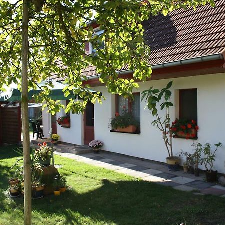 Ferienwohnung Wiesenblick Prerow Exterior foto